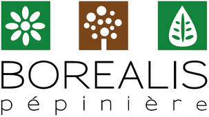 Les Entreprises Everi